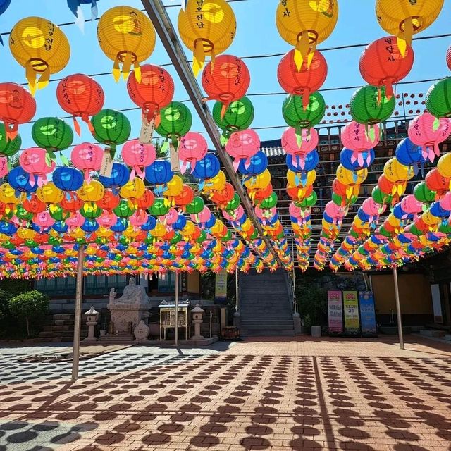 Suwon: A Harmonious Blend of History and Modernity