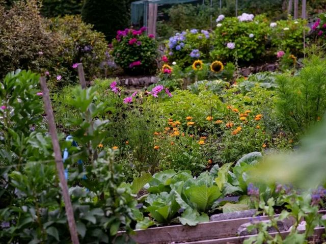 Kilchoan Gardens – Where Nature Meets Art in Argyll