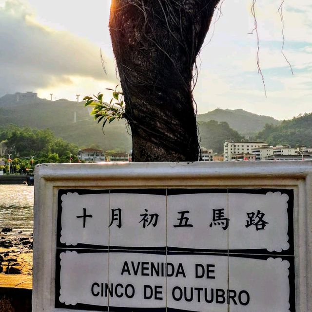 路環圖書館 評價