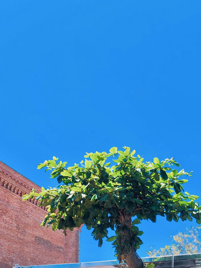 가오슝 여행, 여기 꼭 방문해보세요 🍃