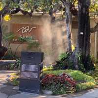 รวมคาเฟ่บรรยากาศดี ที่เชียงใหม่ 2025 ✨