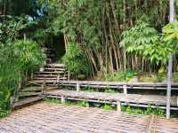 Sloth Suanphueng