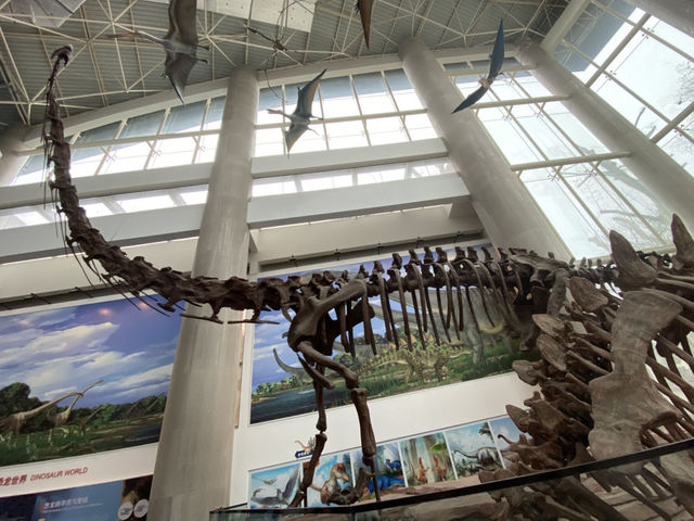 南京 古生物🦕博物館 🦖 自然科普 教育基地