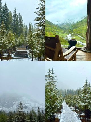 Traveling in Chengdu During the Rainy Season