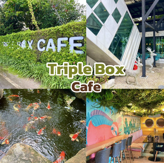 Triple Box Cafe