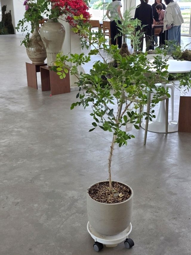프리미엄 떡 디저트 카페