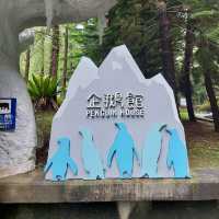 台北市動物園：親子同樂的自然探索勝地 🐼