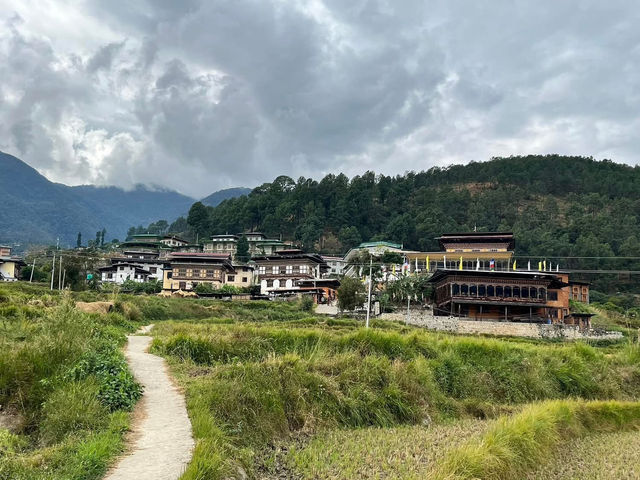 Punakha’s Fertility Temple – Where Culture Meets the Countryside