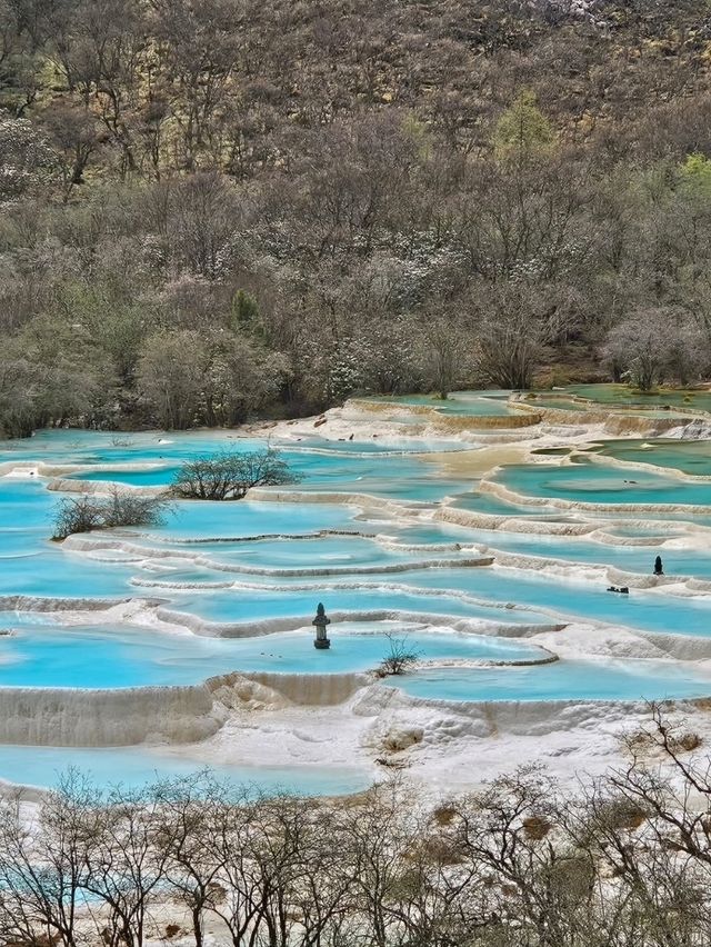 Springtime in Huanglong