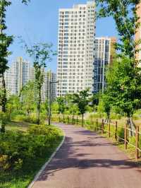 A Refreshing Escape at Misa Lake Park (미사호수공원), Hanam