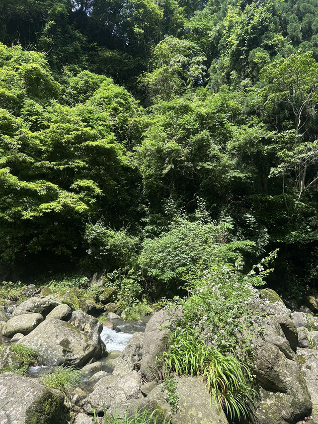 【大分県・日田】して行ける秘境の滝・第一位　桜滝