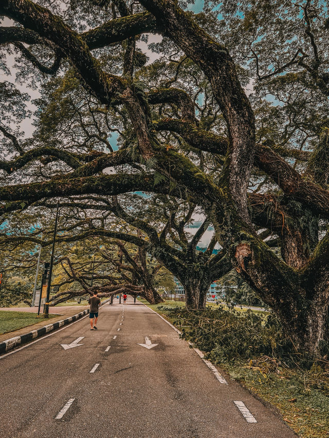 Serene Reflections and Old-World Charm at Taiping Lake