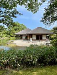 A Day of Quiet Beauty in Fukui