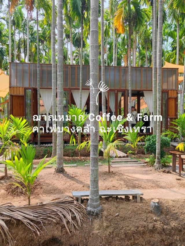 ฌาณหมาก Coffee & Farm คาเฟ่บางคล้า ฉะเชิงเทรา 