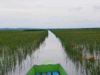 ล่องเรือ แลนก ชมบัว ที่ทะเลน้อย พัทลุง
