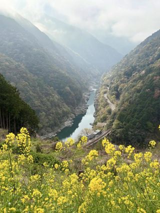Scenic Adventure in Ōboke & Koboke Gorge 🚤⛰️