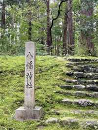A Peaceful Day in Katsuyama, Fukui 🏯🌿