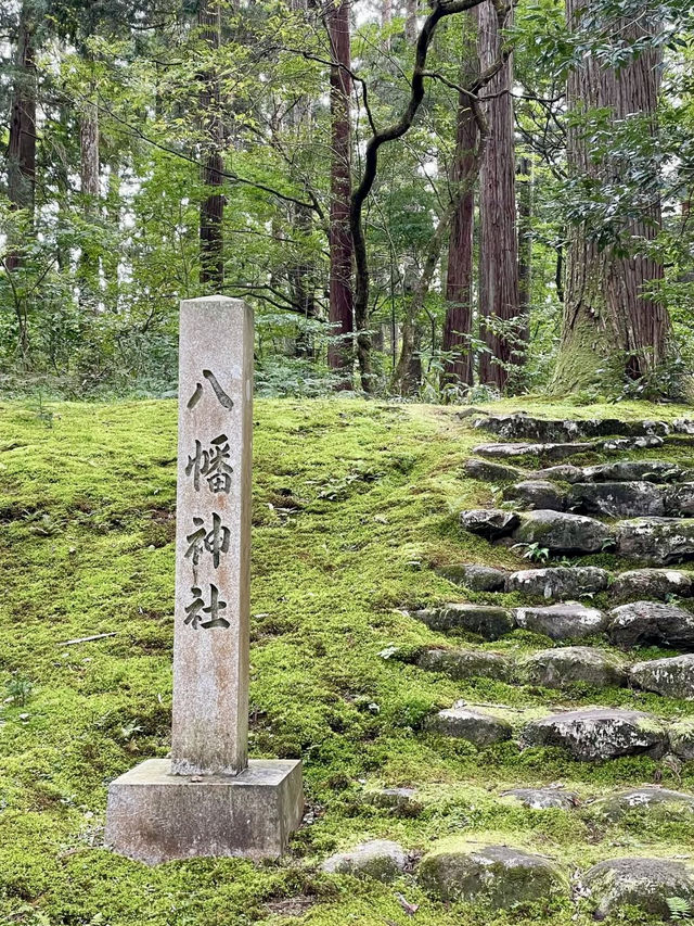 A Peaceful Day in Katsuyama, Fukui 🏯🌿
