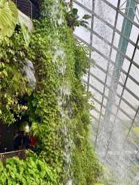 Cloud Forest — A Cool Summer Escape in Singapore’s Urban Jungle