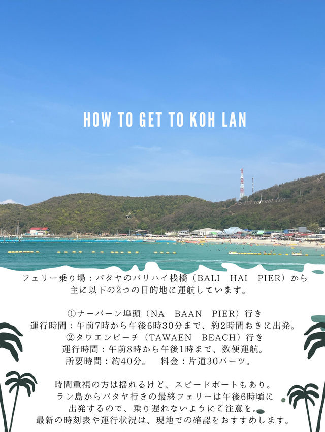 📍こどもと楽しむラン島🏝️遠浅の透明ビーチは子連れにおすすめ！バンコクから日帰りもOK!