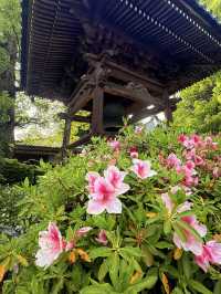 奈良｜久米仙人傳說在靈禪山久米寺 巡訪西國藥師靈場