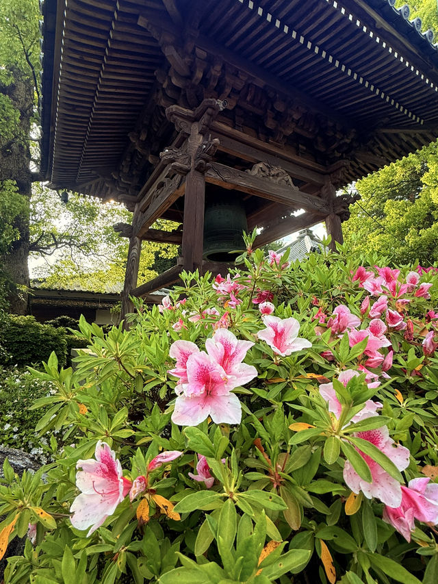 奈良｜久米仙人傳說在靈禪山久米寺 巡訪西國藥師靈場