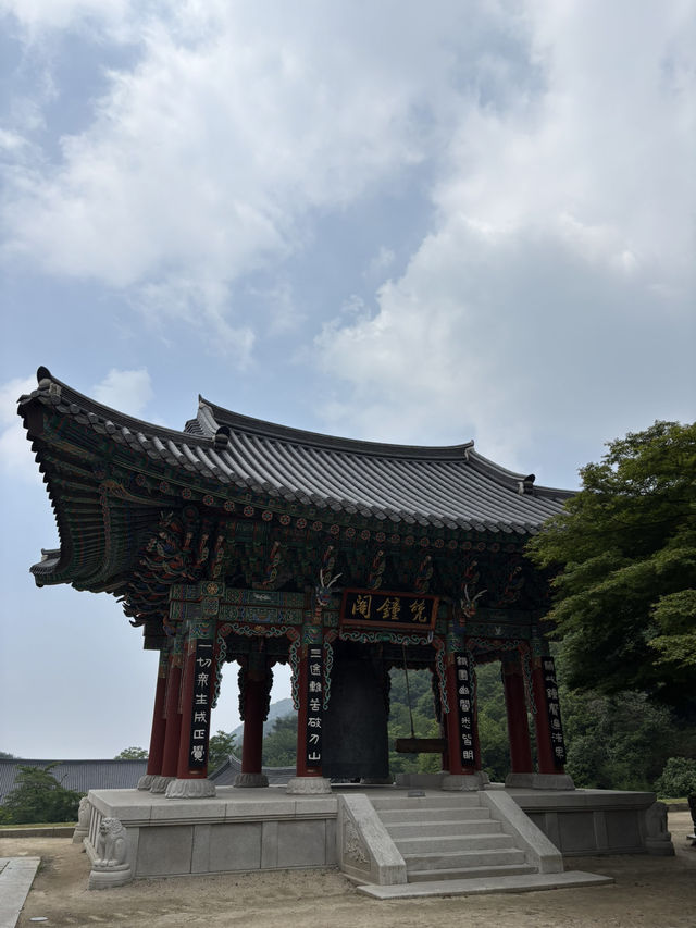 야경 감상이 가능한 전남 구례 화엄사🥲