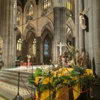 Melbourne | St Patrick’s Cathedral ⛪✨