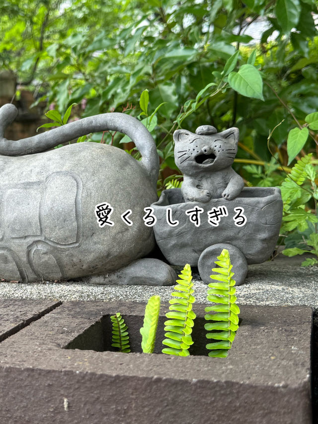 常滑市のとこにゃんに会いに行こう！