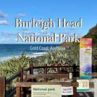 Must-Visit on the Gold Coast: Burleigh Head National Park