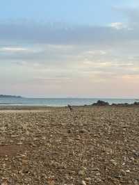 🏖️ 서해의 일몰 명소, 꽃지해수욕장
