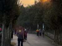 Taman Saujana Hijau: Where Dreams Go to Sweat