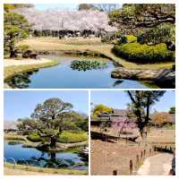 岡山攻略