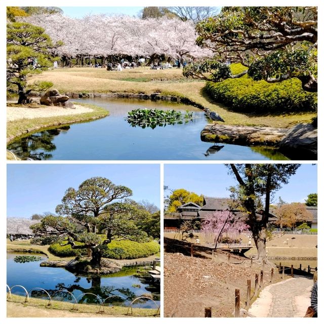 岡山攻略