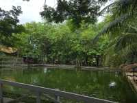 ตามธรรมชาติ Cafe' and Farm