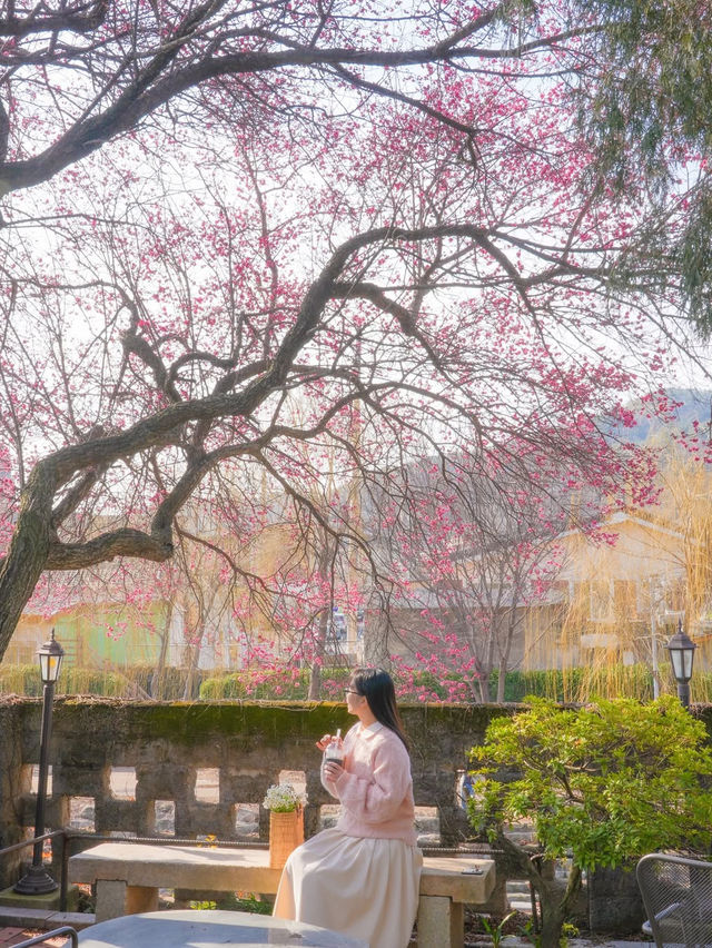 봄이 오는 소리가 들리는 순천 사운즈 옥천🌸❤️
