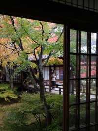 🍂【京都 祇園】心に風が吹くような静けさ。「建仁寺」で、禅と美の時間を🌬️🪷 