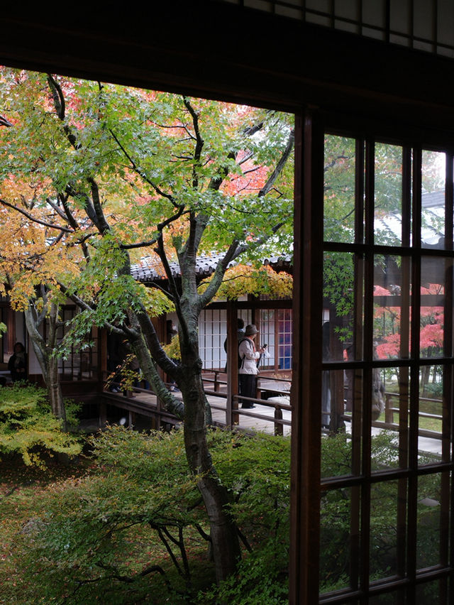 🍂【京都 祇園】心に風が吹くような静けさ。「建仁寺」で、禅と美の時間を🌬️🪷 