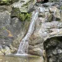 DETAILED EXPERIENCE: SPARTAN TRAIL CEBU