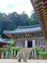 🌿 주말 가족 나들이에 딱! 고성 연화산 옥천사