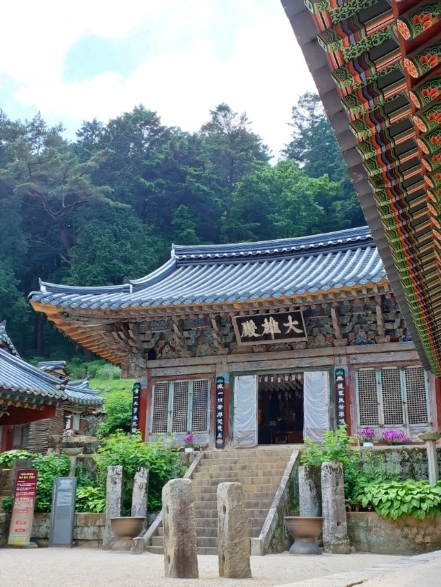 🌿 주말 가족 나들이에 딱! 고성 연화산 옥천사