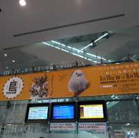 名古屋市科学館の特別展