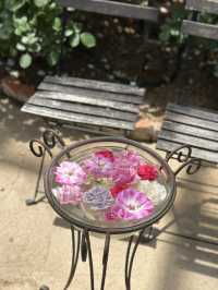 각양각색의 다양한 장미를 구경할 수 있는 🌷구마모토 아소 장미 정원 여행일정 추천💖