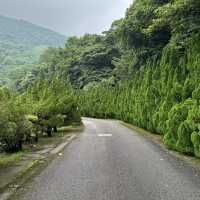 走讀陽明山中山樓