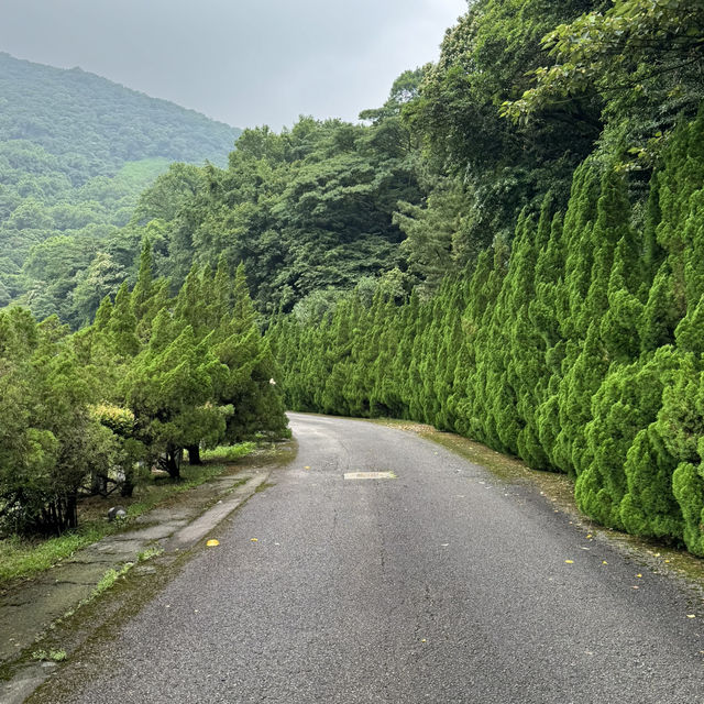 走讀陽明山中山樓