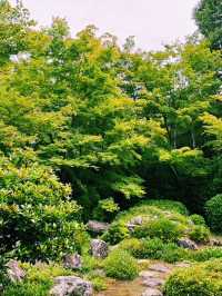🍃 静けさに包まれた美の小径  京都・鷹峯「光悦寺」