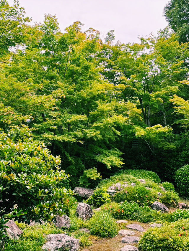 🍃 静けさに包まれた美の小径  京都・鷹峯「光悦寺」