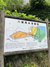 東京🇯🇵六郷用水の跡には錦鯉と緑がいっぱい🌿⟡.·お散歩に最適✌️ˊ˗