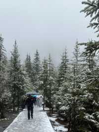 Chengdu 6Days Travel Guide 