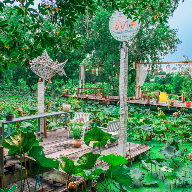 คาเฟ่และร้านอาหาร Vibe ดีริมสระบัวร่มรื่น